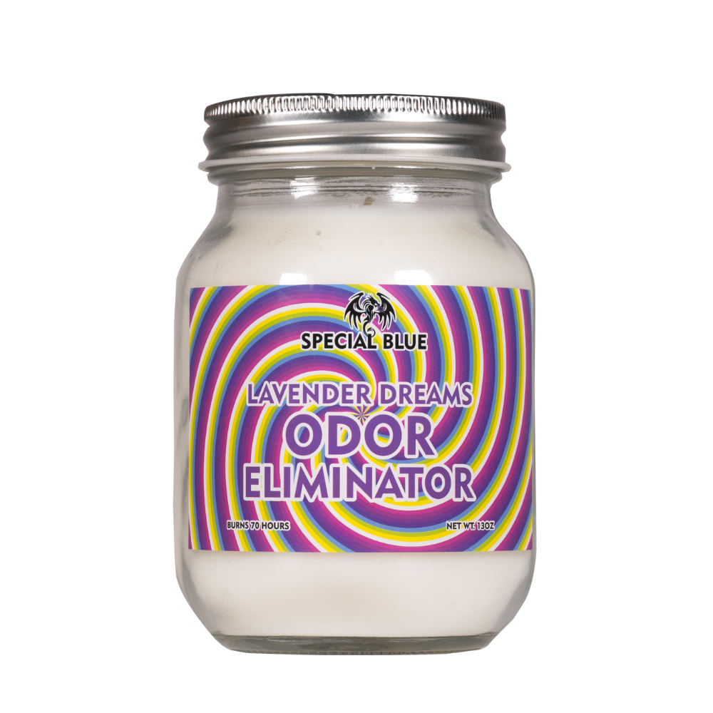 [100336] Vela Lavender dreams